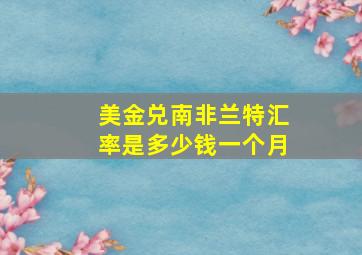 美金兑南非兰特汇率是多少钱一个月