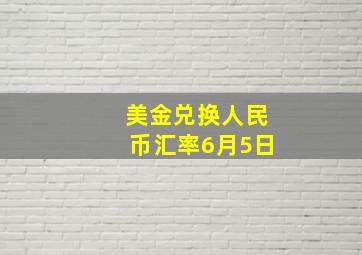 美金兑换人民币汇率6月5日