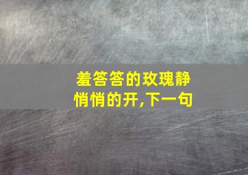 羞答答的玫瑰静悄悄的开,下一句