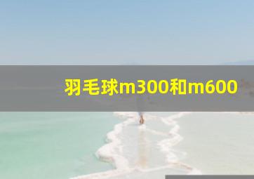 羽毛球m300和m600