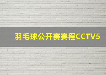 羽毛球公开赛赛程CCTV5