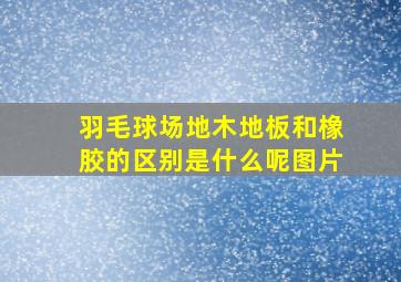 羽毛球场地木地板和橡胶的区别是什么呢图片