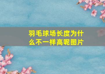 羽毛球场长度为什么不一样高呢图片