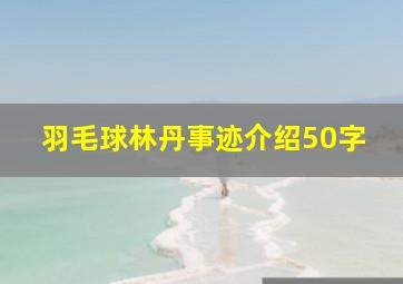 羽毛球林丹事迹介绍50字