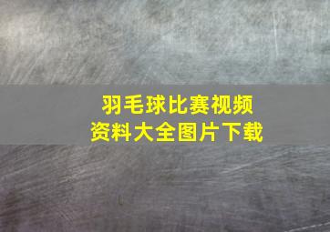 羽毛球比赛视频资料大全图片下载