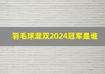 羽毛球混双2024冠军是谁