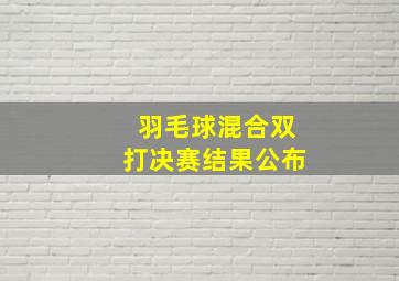 羽毛球混合双打决赛结果公布