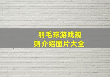 羽毛球游戏规则介绍图片大全