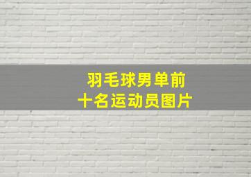 羽毛球男单前十名运动员图片