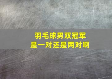 羽毛球男双冠军是一对还是两对啊