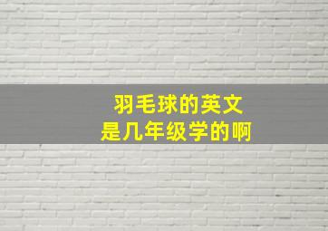 羽毛球的英文是几年级学的啊