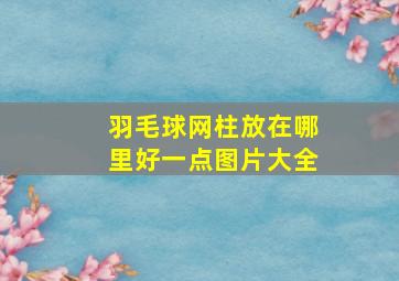 羽毛球网柱放在哪里好一点图片大全