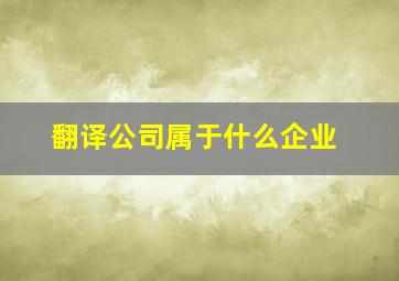 翻译公司属于什么企业