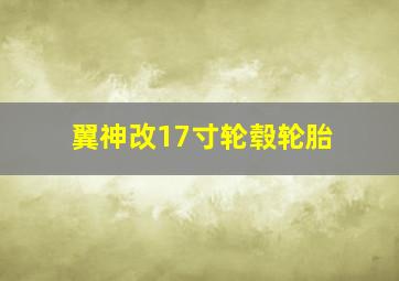 翼神改17寸轮毂轮胎