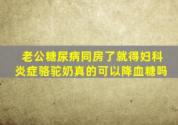 老公糖尿病同房了就得妇科炎症骆驼奶真的可以降血糖吗