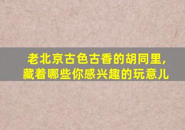 老北京古色古香的胡同里,藏着哪些你感兴趣的玩意儿