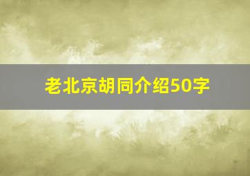 老北京胡同介绍50字