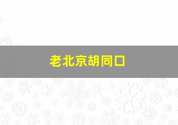 老北京胡同口