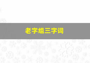 老字组三字词