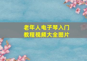 老年人电子琴入门教程视频大全图片