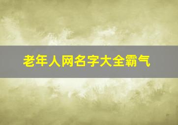 老年人网名字大全霸气