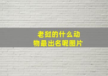 老挝的什么动物最出名呢图片