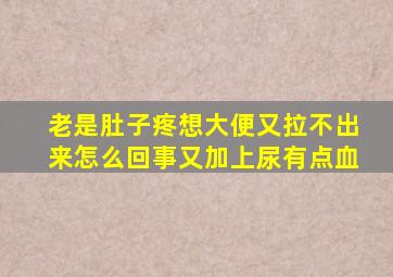 老是肚子疼想大便又拉不出来怎么回事又加上尿有点血