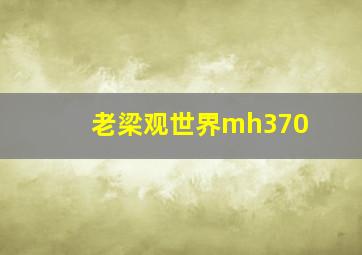 老梁观世界mh370