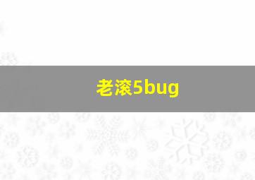 老滚5bug