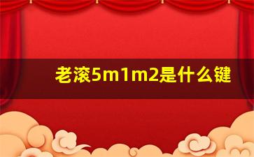 老滚5m1m2是什么键