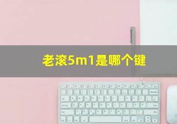 老滚5m1是哪个键