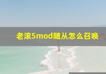 老滚5mod随从怎么召唤