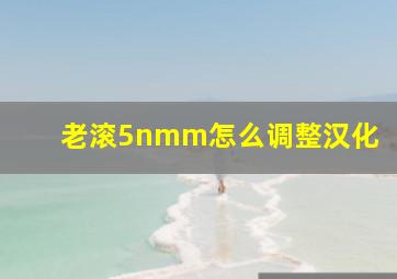 老滚5nmm怎么调整汉化