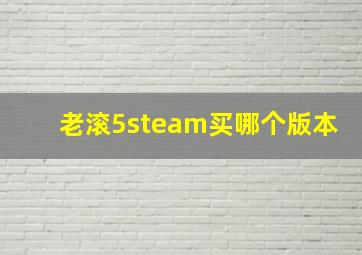 老滚5steam买哪个版本