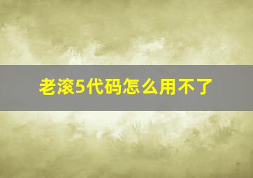 老滚5代码怎么用不了