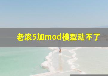 老滚5加mod模型动不了