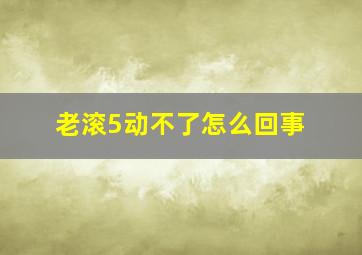 老滚5动不了怎么回事