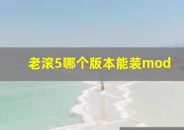 老滚5哪个版本能装mod