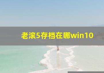 老滚5存档在哪win10