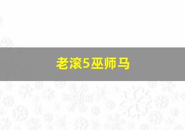 老滚5巫师马