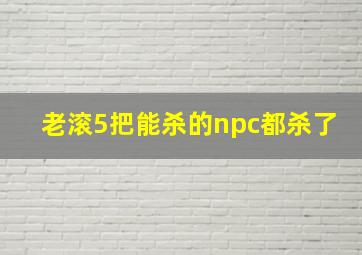 老滚5把能杀的npc都杀了