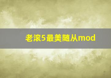 老滚5最美随从mod