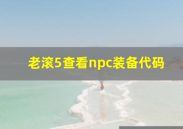 老滚5查看npc装备代码