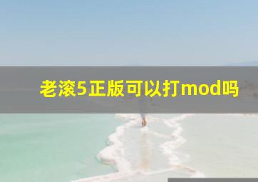 老滚5正版可以打mod吗