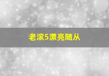 老滚5漂亮随从