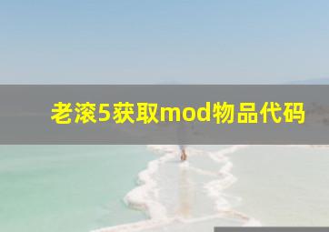 老滚5获取mod物品代码