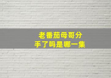 老番茄母哥分手了吗是哪一集