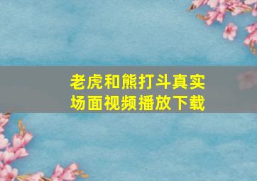 老虎和熊打斗真实场面视频播放下载