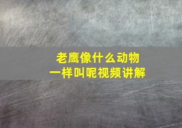 老鹰像什么动物一样叫呢视频讲解