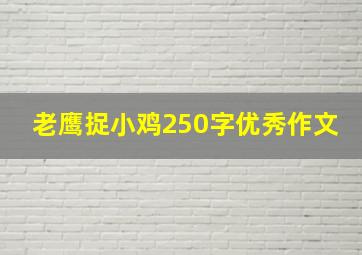 老鹰捉小鸡250字优秀作文